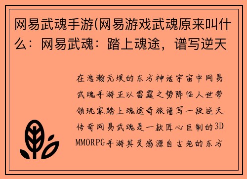 网易武魂手游(网易游戏武魂原来叫什么：网易武魂：踏上魂途，谱写逆天传奇)